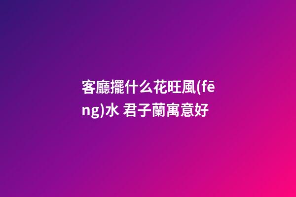 客廳擺什么花旺風(fēng)水 君子蘭寓意好